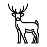 Apartamenty Zew Natury